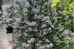 5135 Moscow Rd, Spring Arbor, MI 49283 - Photo 59