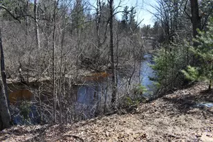 2369 S Riverbend, Baldwin, MI 49304 - Photo 7