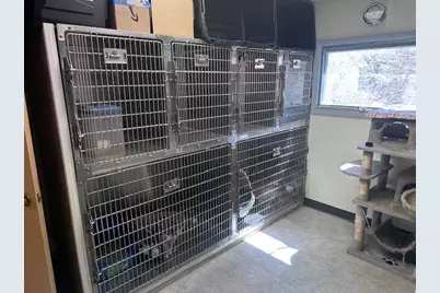 931 Rose Avenue, Big Rapids, MI 49307 - Photo 47