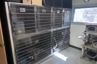 931 Rose Ave, Big Rapids, MI 49307 - Photo 47