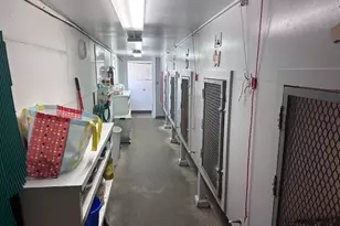 931 Rose Ave, Big Rapids, MI 49307 - Photo 37