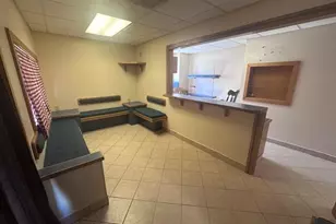 931 Rose Ave, Big Rapids, MI 49307 - Photo 43