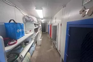 931 Rose Ave, Big Rapids, MI 49307 - Photo 41