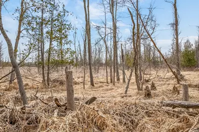 875 E Jackson Road, Hart, MI 49420 - Photo 33