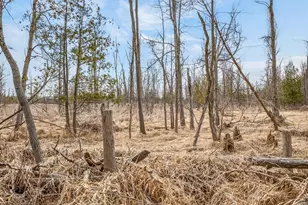 875 E Jackson Rd, Hart, MI 49420 - Photo 33