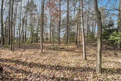 12215 Lila Court, Stanwood, MI 49346 - Photo 3