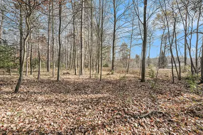 12215 Lila Court, Stanwood, MI 49346 - Photo 7