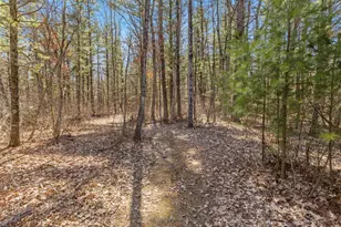 21161 W Gates Rd, Howard City, MI 49329 - Photo 29