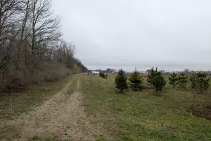 0- Blair St, Zeeland, MI 49464 - Photo 1