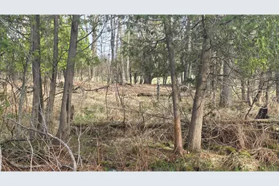 V/L 10A 120th Ave, Hart, MI 49420 - Photo 15