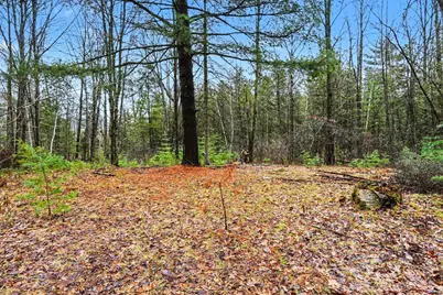 1652 S Whitney Road, Beaverton, MI 48612 - Photo 9