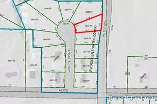 1157 Spruce Pointe Dr, Whitehall, MI 49461 - Photo 51