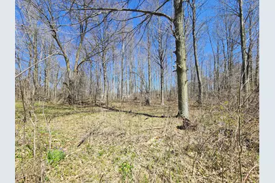 265 W Pearl Road, Coldwater, MI 49036 - Photo 39