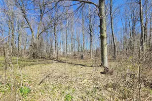265 W Pearl Rd, Coldwater, MI 49036 - Photo 39