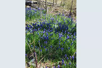 265 W Pearl Road, Coldwater, MI 49036 - Photo 37