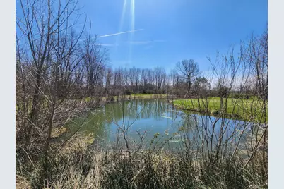 265 W Pearl Road, Coldwater, MI 49036 - Photo 37