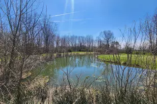 265 W Pearl Rd, Coldwater, MI 49036 - Photo 37