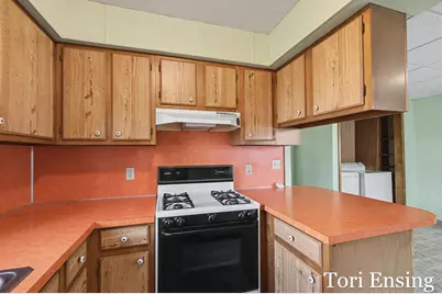 406 E North Street, Greenville, MI 48838 - Photo 9