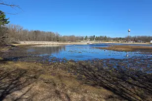 1471 E Beechwood Ln, White Cloud, MI 49349 - Photo 31