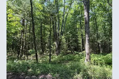 0 Austin Road, Twin Lake, MI 49457 - Photo 5