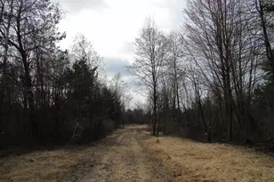 3889 Dalson Rd, Twin Lake, MI 49457 - Photo 1