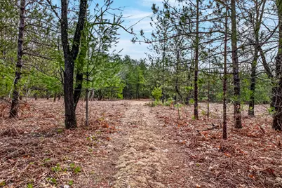 4124 Warner Avenue, Hesperia, MI 49421 - Photo 17