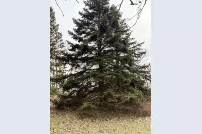 4973 S Lakeshore Drive, Ludington, MI 49431 - Photo 23