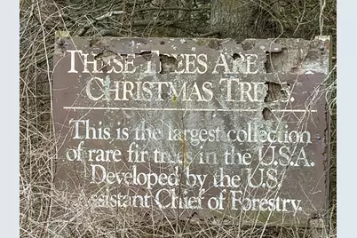 4973 S Lakeshore Drive, Ludington, MI 49431 - Photo 5