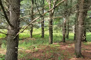 1337 21 Mile Rd, Barryton, MI 49305 - Photo 31