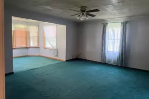 217 John St, Newaygo, MI 49337 - Photo 9