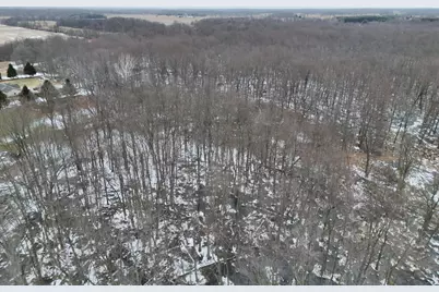 V/L S Bradley Road, Charlotte, MI 48813 - Photo 7
