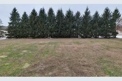 V/L S Bradley Road, Charlotte, MI 48813 - Photo 15