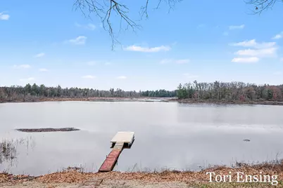 11145 S Holland Road, Fenwick, MI 48834 - Photo 31