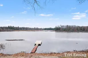 11145 S Holland Rd, Fenwick, MI 48834 - Photo 31