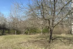21632 90th Ave, Evart, MI 49631 - Photo 9
