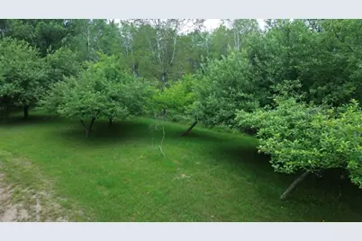 21632 90th Avenue, Evart, MI 49631 - Photo 25