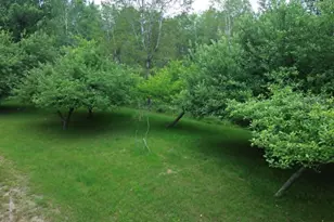 21632 90th Ave, Evart, MI 49631 - Photo 25