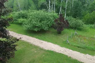 21632 90th Ave, Evart, MI 49631 - Photo 1