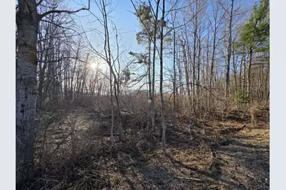 Vl W Arthur Road, Rothbury, MI 49452 - Photo 5