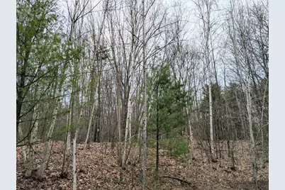 V/L N Weber Road, Muskegon, MI 49445 - Photo 13