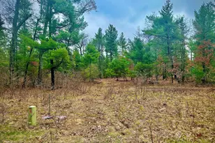 1220 Sydney St, Whitehall, MI 49461 - Photo 1