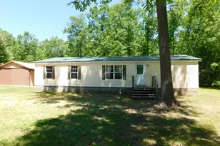 647 N Hart Rd, Wellston, MI 49689 - Photo 1