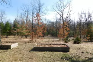 647 N Hart Rd, Wellston, MI 49689 - Photo 19