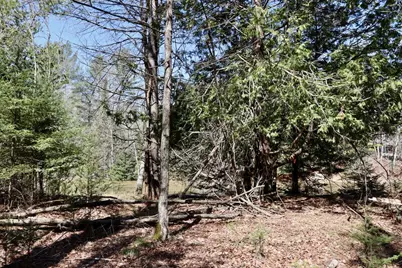 1697 Wildwood Road, Sterling, MI 48659 - Photo 77