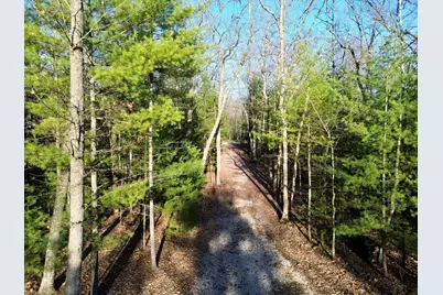 V/L Lot 5 E Shingle Mill Way Way, Manistee, MI 49660 - Photo 15