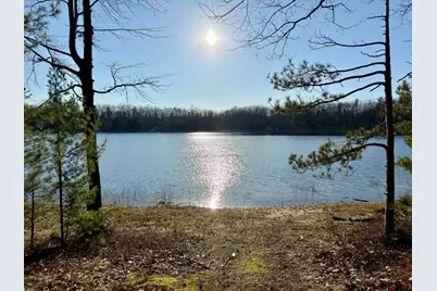 V/L Lot 5 E Shingle Mill Way Way, Manistee, MI 49660 - Photo 13
