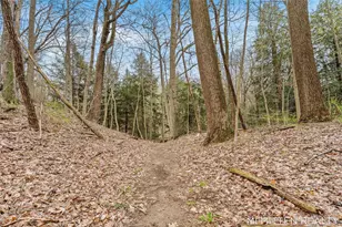2322 Forest Trail Cir, Fennville, MI 49408 - Photo 83