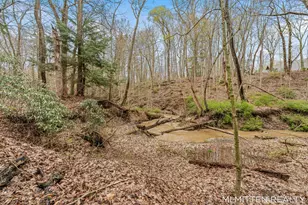 2322 Forest Trail Cir, Fennville, MI 49408 - Photo 89