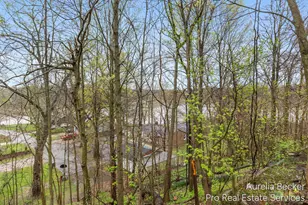 425 S Cedar St, Allegan, MI 49010 - Photo 43