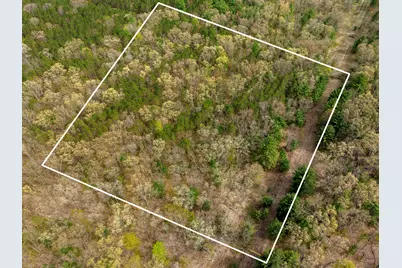0 Maple Avenue, Brethren, MI 49619 - Photo 11